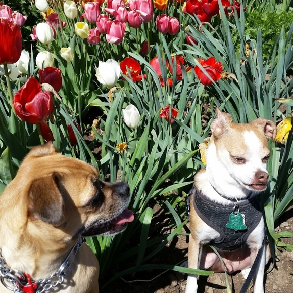 Meet your Posher, Jen - Picture 9 of 10